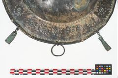 Foto von Bronzebreitrandfußschale (NHMW-PRAE-025213)